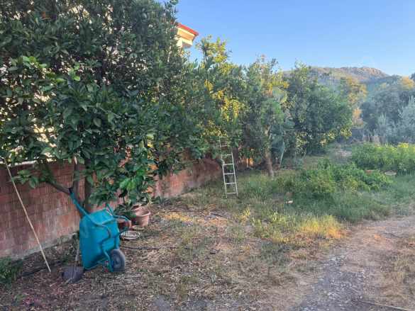 Muğla Ortaca Okçularda Konumu iyi 650 M2 Konut imarlı Arsa Satılık Arazi