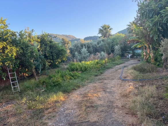 Okçular Ortaca Satılık Arazi |  650M2 7.000.000Tl Resim-4