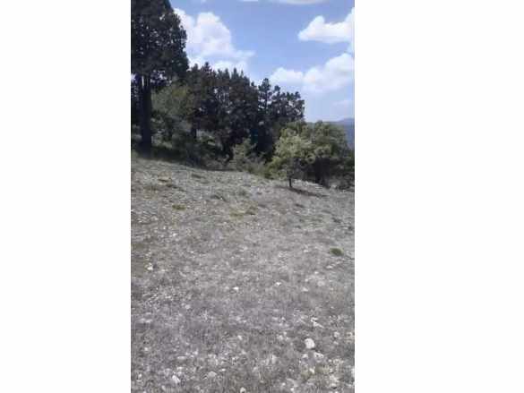 Çameli Ayvacık Ta 2030 M2 Satılık Tarla