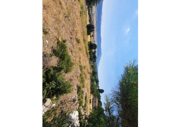 Nif Fethiye Satılık Arazi |  2100M2 4.000.000Tl Resim-4
