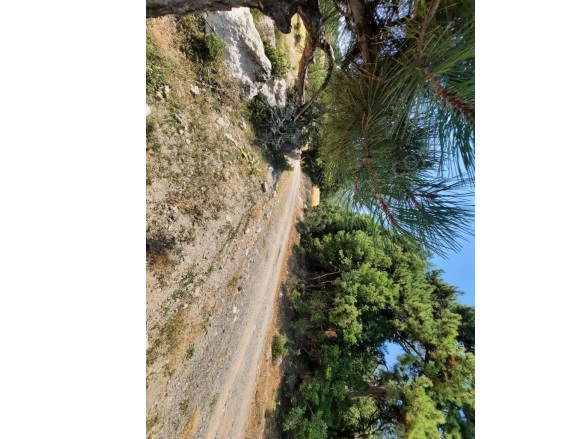 Nif Fethiye Satılık Arazi |  2100M2 4.000.000Tl Resim-5