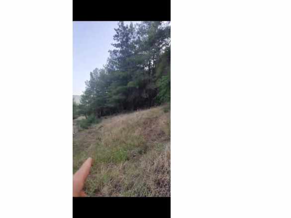 Muğla Ula Çiçekli Anayola Sıfır Yeşillikler içinde 2 500 Müstakil Tapulu Satılık Arazi