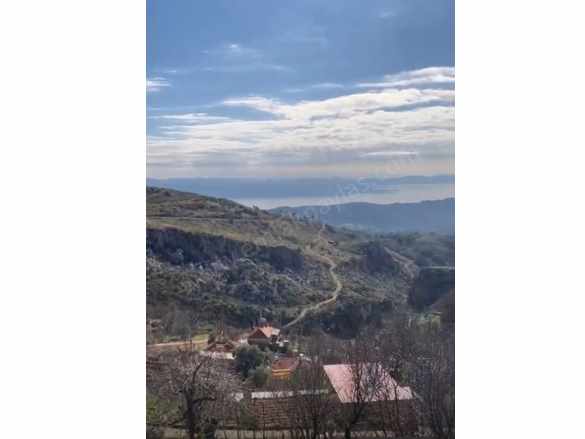 Mugla Menteşe Zeytinköy De 200 M2 Konut imarlı 406 Satılık Arsa Zeytin Köy