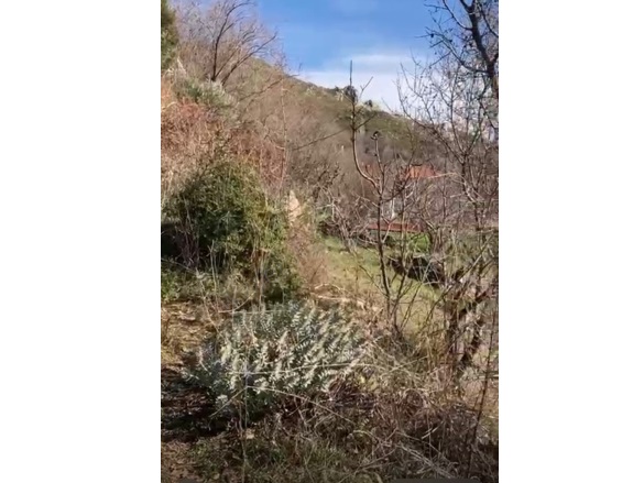 Zeytin Köy Menteşe Satılık Arsa |  406M2 2.000.000Tl Resim-2