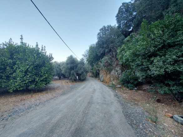 Muğla Ortaca Karadonlar Da 1 300 M2 Müstakil 250M2 Konut imarlı Satılık Arsa