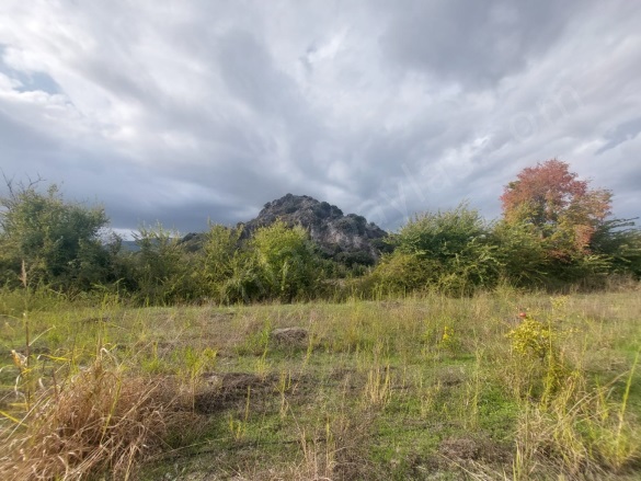 Dalyan Ortaca Satılık Arazi |  15000M2 50.000.000Tl İmarlı  Resim-1