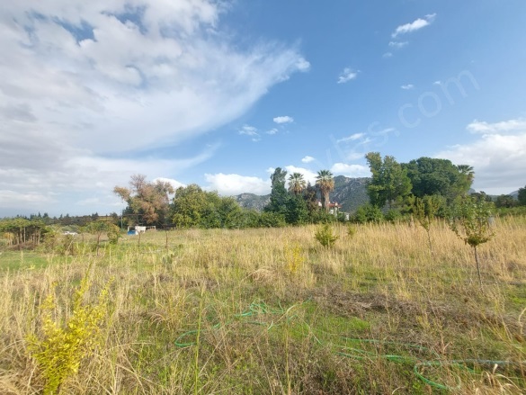 Dalyan Ortaca Satılık Arazi |  15000M2 50.000.000Tl İmarlı  Resim-3