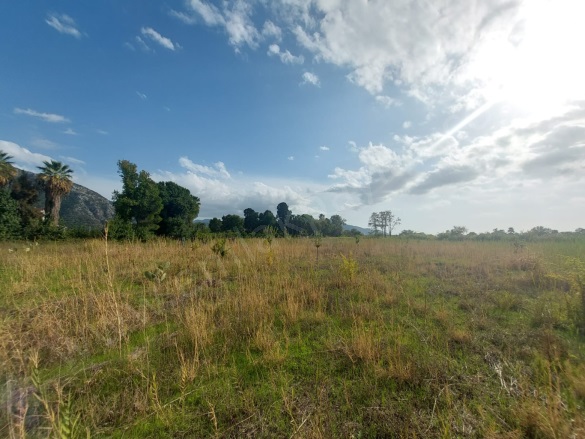 Dalyan Ortaca Satılık Arazi |  15000M2 50.000.000Tl İmarlı  Resim-4