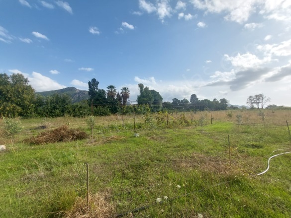 Dalyan Ortaca Satılık Arazi |  15000M2 50.000.000Tl İmarlı  Resim-5