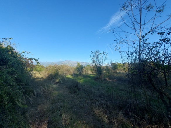 Toparlar Köyceğiz Satılık Arazi |  9600M2 28.000.000Tl Resim-2
