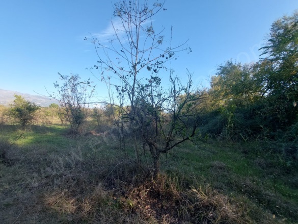 Toparlar Köyceğiz Satılık Arazi |  9600M2 28.000.000Tl Resim-3