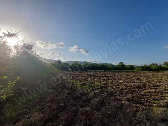 Muğla Ortaca Dalaklı 2 000 M2 400 inşaat Hakkı Olan Satılık Arsa Konut imarlı