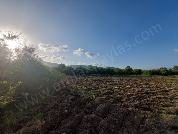 Dalaklı Ortaca Satılık Arsa |  2000M2 16.000.000Tl Resim-1