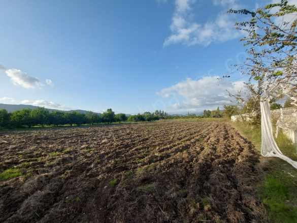 Muğla Ortaca Dalaklı 2 000 M2 400 inşaat Hakkı Olan Satılık Arsa Konut imarlı