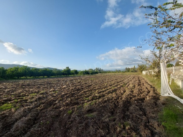 Dalaklı Ortaca Satılık Arsa |  2000M2 16.000.000Tl Resim-3