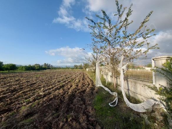 Dalaklı Ortaca Satılık Arsa |  2000M2 16.000.000Tl Resim-4