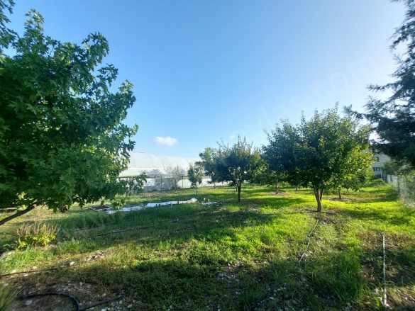 Ortaca Ekşiliyurt Ta 1 330 M2 Müstakil Arsada 130 2+1 Köy Evi Satılık Ev Veya Kısmen Daire ile Tak