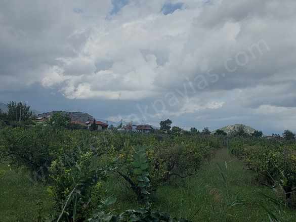 Mugla Dalyan Da 150 M2 inşaat Hakkı Olan 5 000 Satılık Arazi Ortaca
