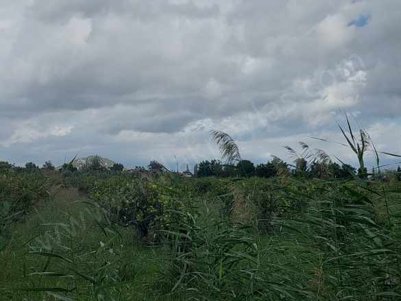 Mugla Dalyan Da 150 M2 inşaat Hakkı Olan 5 000 Satılık Arazi Ortaca