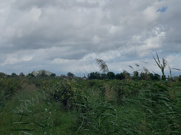 Dalyan Ortaca Satılık Arazi |  5000M2 16.000.000Tl Resim-2