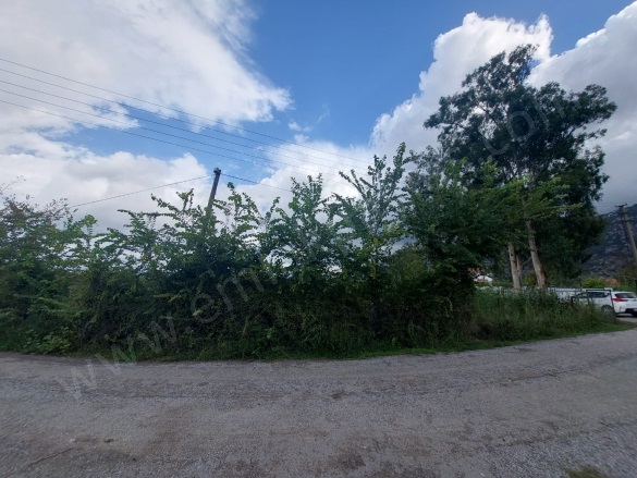 Dalyan Ortaca Satılık Arazi |  5000M2 16.000.000Tl Resim-4