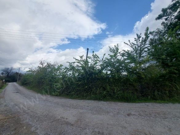 Dalyan Ortaca Satılık Arazi |  5000M2 16.000.000Tl Resim-5