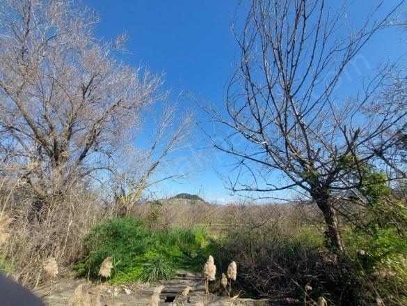 Dalyan Ortaca Satılık Arazi |  5000M2 65.000.000Tl İmarlı  Resim-4