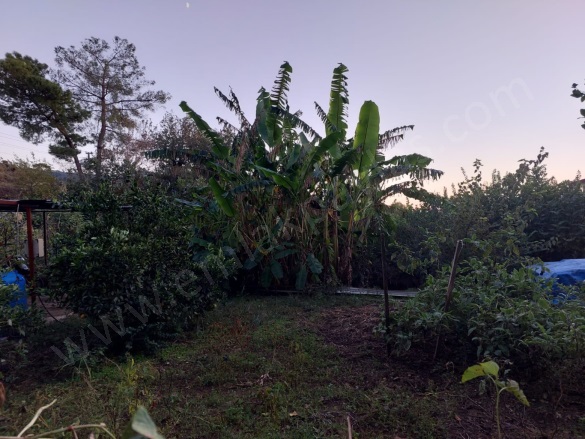 Çaylı Ortaca Satılık Arsa |  350M2 2.500.000Tl Resim-5