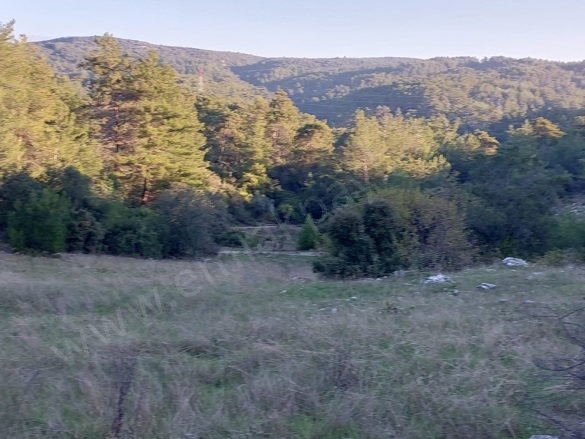 Kızılyaka Ula Satılık Arazi |  790M2 1.250.000Tl Resim-5