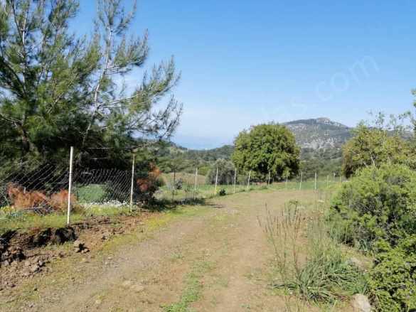 Muğla Ortaca Gökbelde 3200 M2 Hisseli Arazi Satılık Arsa