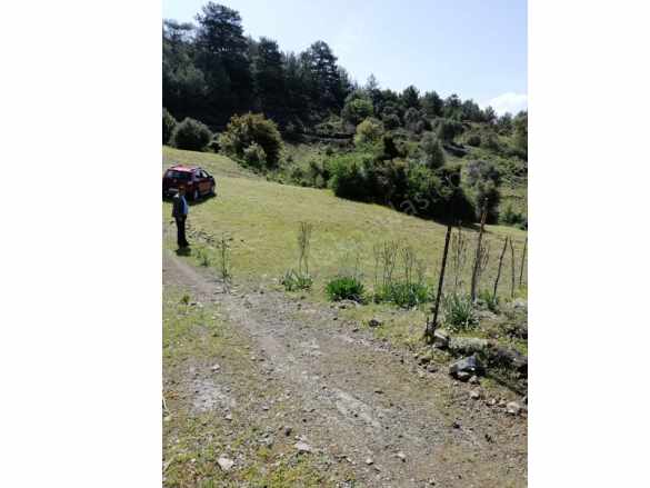 Muğla Ortaca Gökbelde 3200 M2 Hisseli Arazi Satılık Arsa