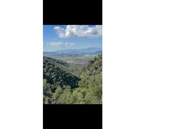 Muğla Milas Da 5 800 M2 Tek Tapu Müstakil Parsel Arazi Satılık Arsa Kazıklı