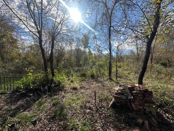 Ortaca Yeşilyurt Da 12 000 M2 Satılık Tarla