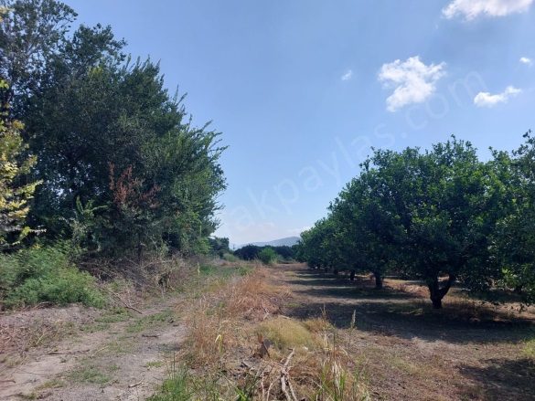 Dalyan Ortaca Satılık Arazi |  750M2 4.500.000Tl Resim-2