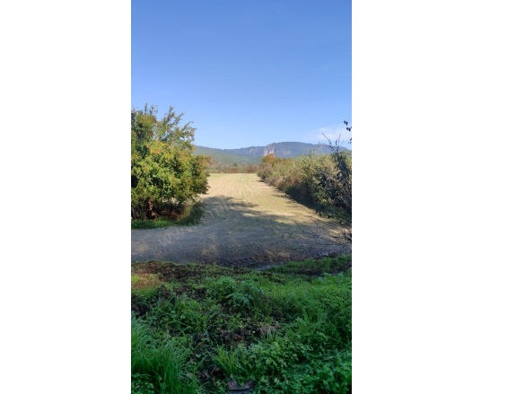 Karabörtlen Ula Satılık Arazi |  6000M2 9.000.000Tl Resim-1