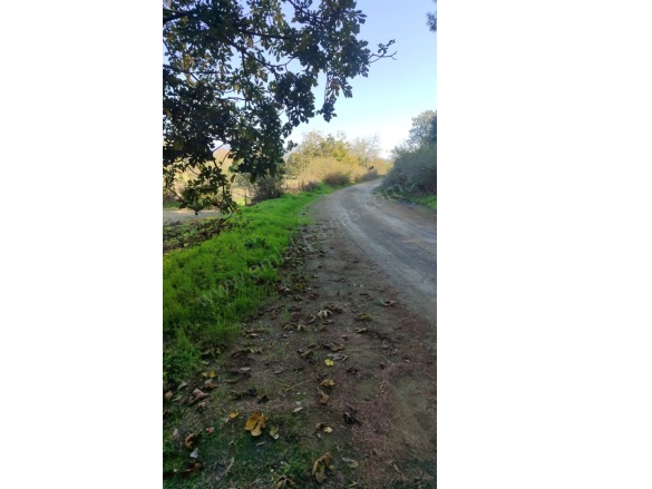 Karabörtlen Ula Satılık Arazi |  6000M2 9.000.000Tl Resim-2