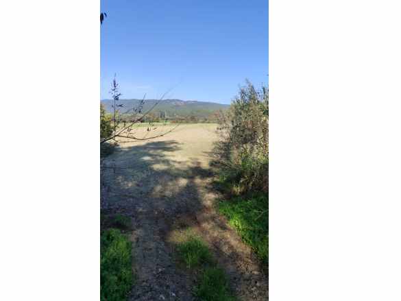 Muğla Ula Karabörtlende Kelepir 6 000 M2 Satılık Arazi