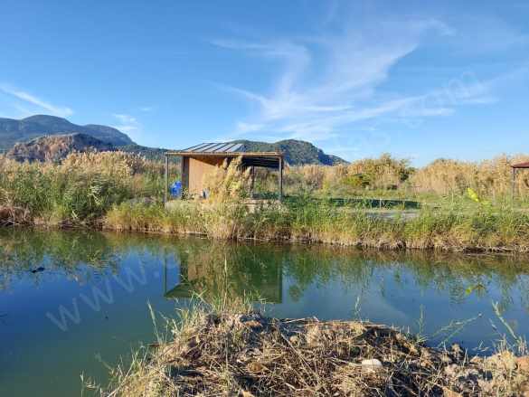 Muğla Ortaca Dalyanda Kanal Kenarında Tekne Bağlama Yeri Olan Konteyner – Satılık Arazi