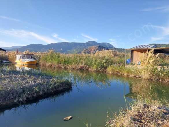 Muğla Ortaca Dalyanda Kanal Kenarında Tekne Bağlama Yeri Olan Konteyner – Satılık Arazi