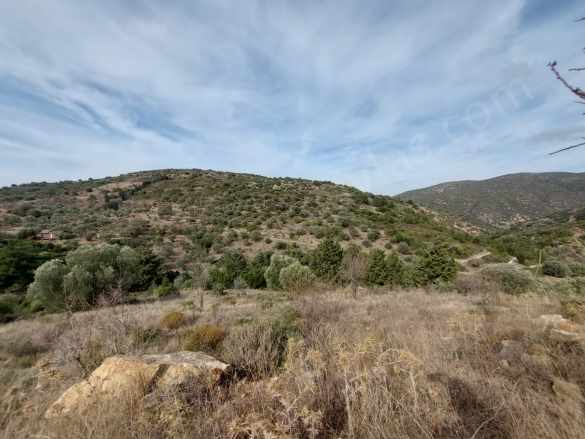 Muğla Datça Yazıda 8 400 M² Müstakil Tapulu Satılık Arazi Kelepir Zeytinlik