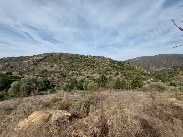 Yazı Datça Satılık Arazi |  8400M2 6.600.000Tl Resim-3