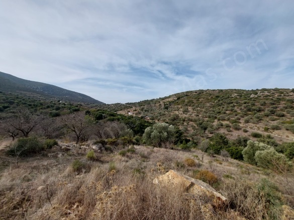 Yazı Datça Satılık Arazi |  8400M2 6.600.000Tl Resim-4