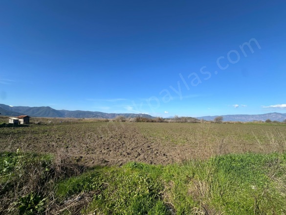 Eskiköy Ortaca Satılık Tarla |  1377M2 2.250.000Tl Resim-3