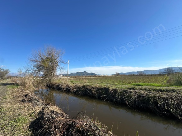 Eskiköy Ortaca Satılık Tarla |  1377M2 2.250.000Tl Resim-4