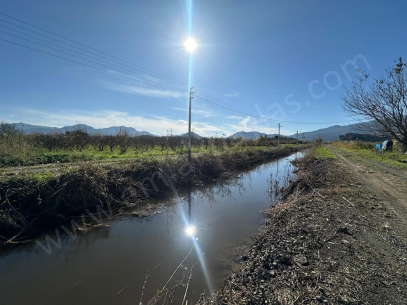 Eskiköy Ortaca Satılık Tarla |  1377M2 2.250.000Tl Resim-5