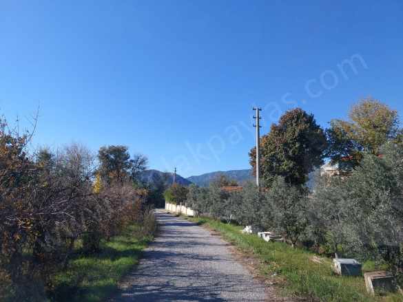 Mugla Dalyan Da 150 M2 inşaat Hakkı Olan 4 500 Arazi Satılık Arsa Veya Dan Villa ile Takas Ortaca