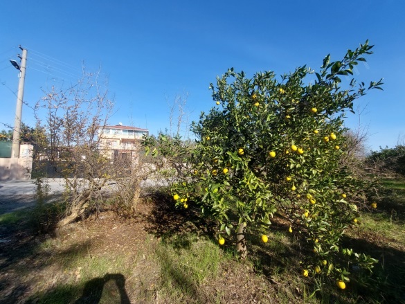 Dalyan Ortaca Satılık Arsa |  4500M2 25.000.000Tl İmarlı  Resim-4