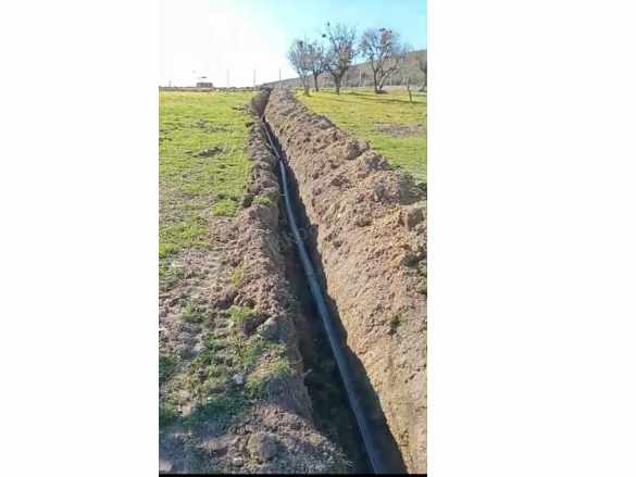 Denizli Tavas Ulukentte 37 000 M2 Ceviz Bahçesi Satılık Tarla