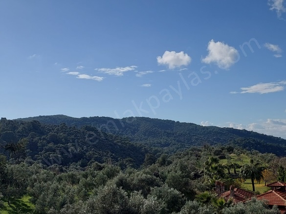 Gökbel Ortaca Satılık Arazi |  2640M2 18.000.000Tl Resim-4