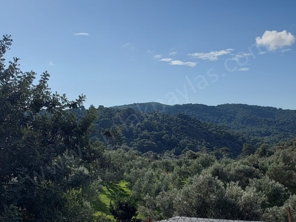 Gökbel Ortaca Satılık Arazi |  2640M2 18.000.000Tl Resim-5